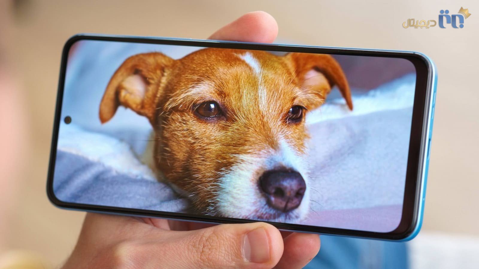 نمایشگر ردمی نوت ۱۲ 4G