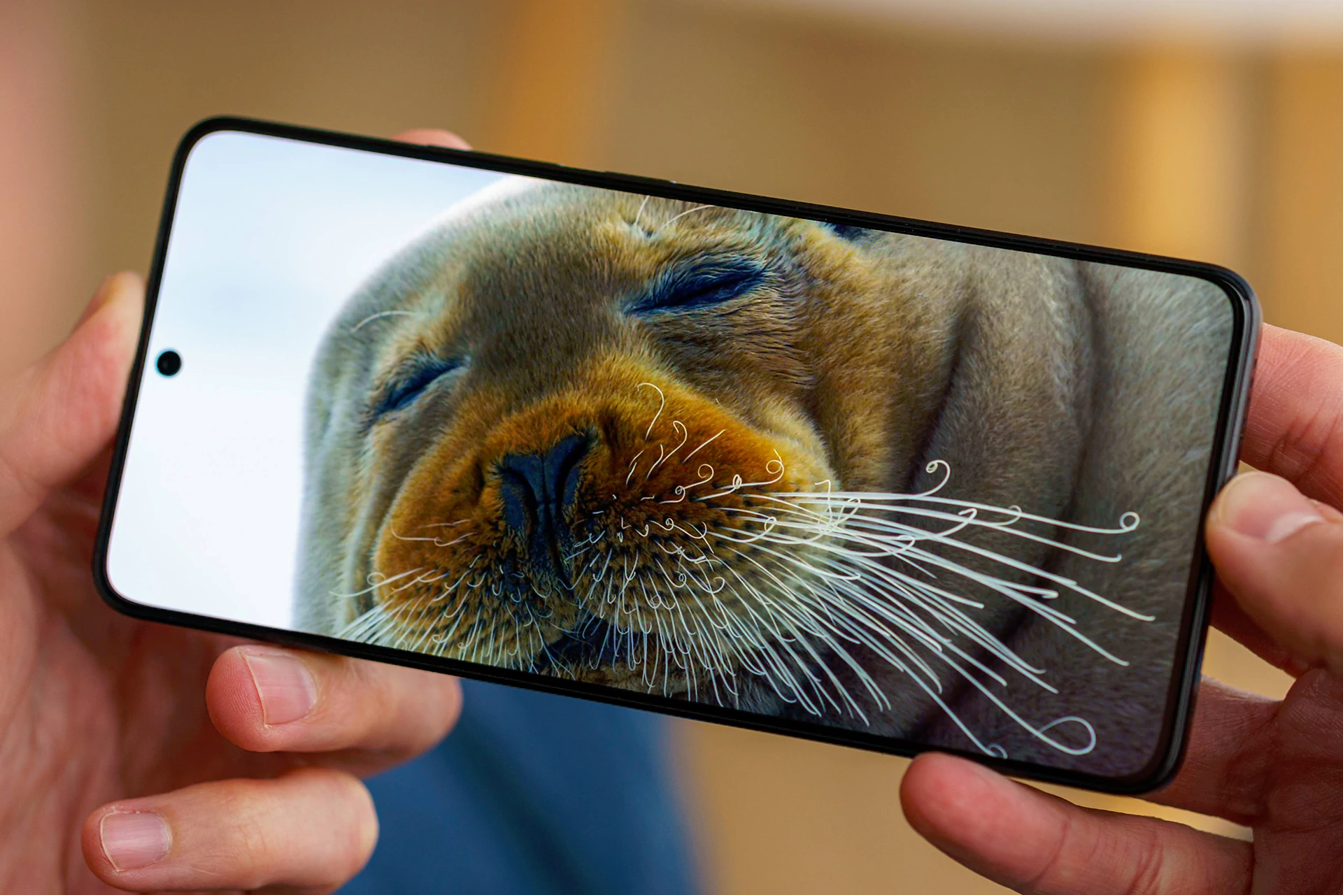 صفحه نمایش ۶٫۶۷ اینچ OLED گوشیهای شیائومی و پوکو
