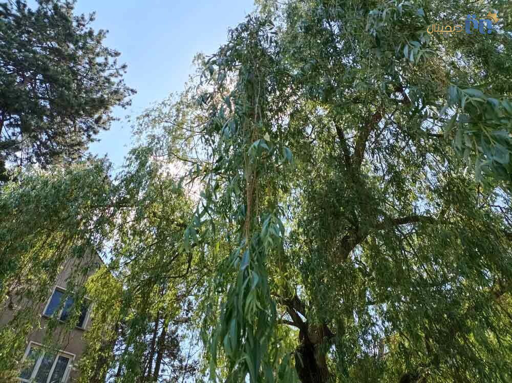 بررسی پوکو ام ۳ پرو از نظر دوربین