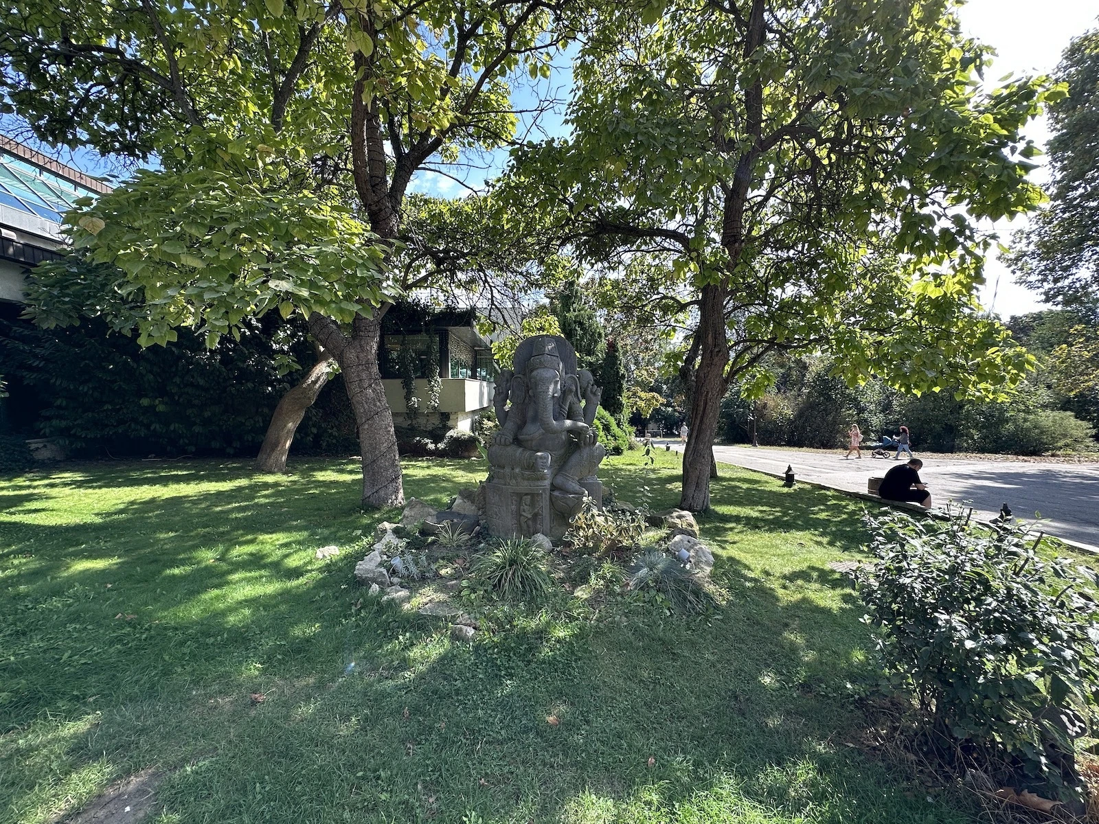 Before image