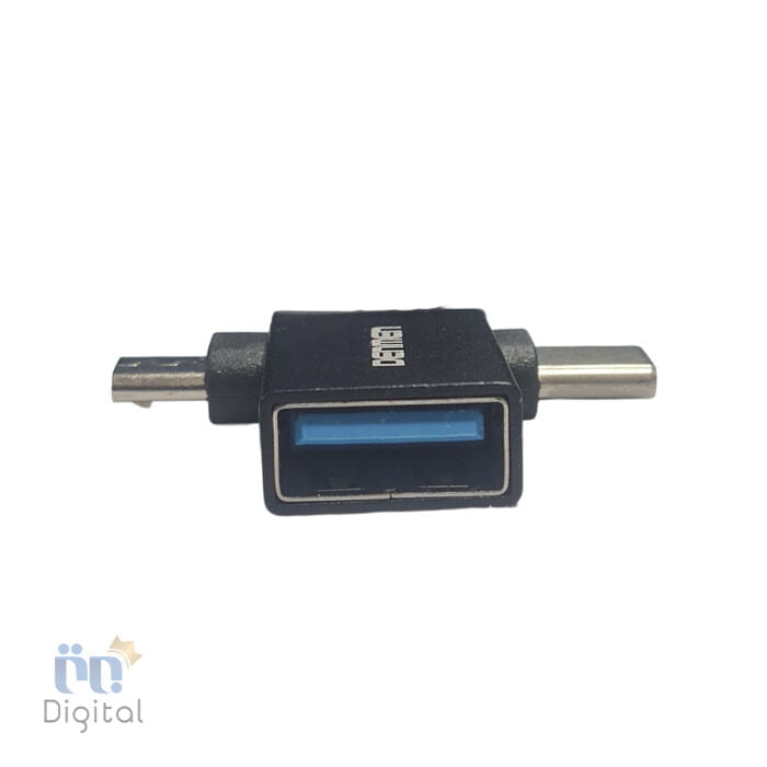 Denmen USB to Type C Conventer