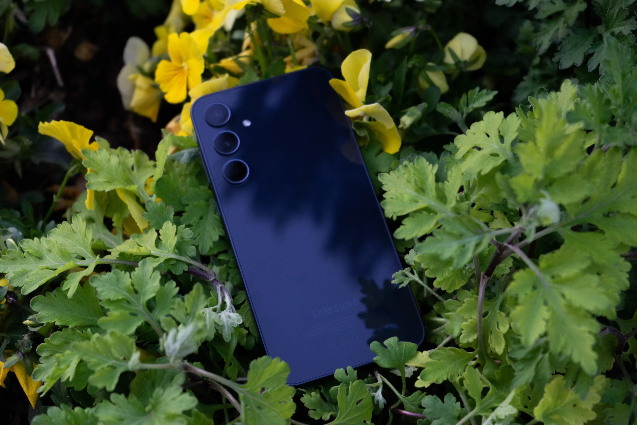 Samsung galaxy A35 ins nature between yellow flowers