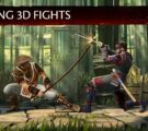 Shadow fight 3