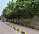 کیفیت دوربین گوشی گلکسی M32