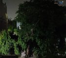 Nght Mode سنسور اصلی گوشی گلکسی M32