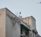 بزرگنمایی 5 برابری با دوربین