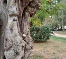 نتایج دوربین فوق عریض