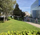 Samsung Galaxy S24 FE: 12MP main camera samples